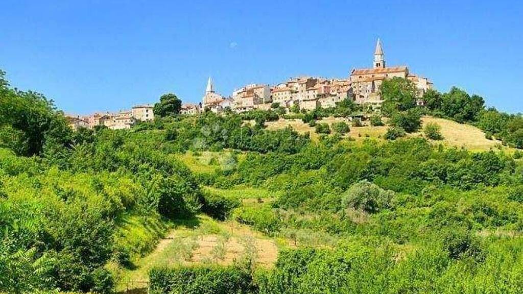 Land-/Forstwirtschaft zum Kauf 17.900 € Buje