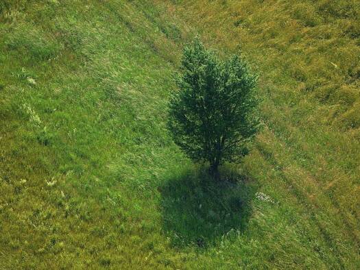 Grundstück zum Kauf provisionsfrei 320.000 € 700 m² Grundstück Baugenehmigung vorhanden frei ab sofort Bad Dürrheim 78073
