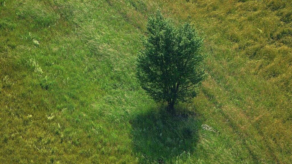 Grundstück zum Kauf provisionsfrei 320.000 € 700 m² Grundstück Baugenehmigung vorhanden frei ab sofort Bad Dürrheim 78073