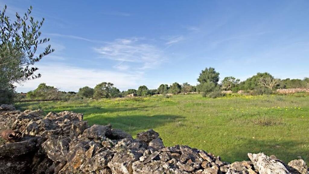 Grundstück zum Kauf provisionsfrei 535.000 € 20.955 m² Grundstück Cala Santanyi