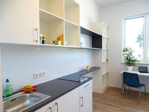 Studio zur Miete 298 € 1 Zimmer 28 m² frei ab sofort Altgarbsen Garbsen 30823