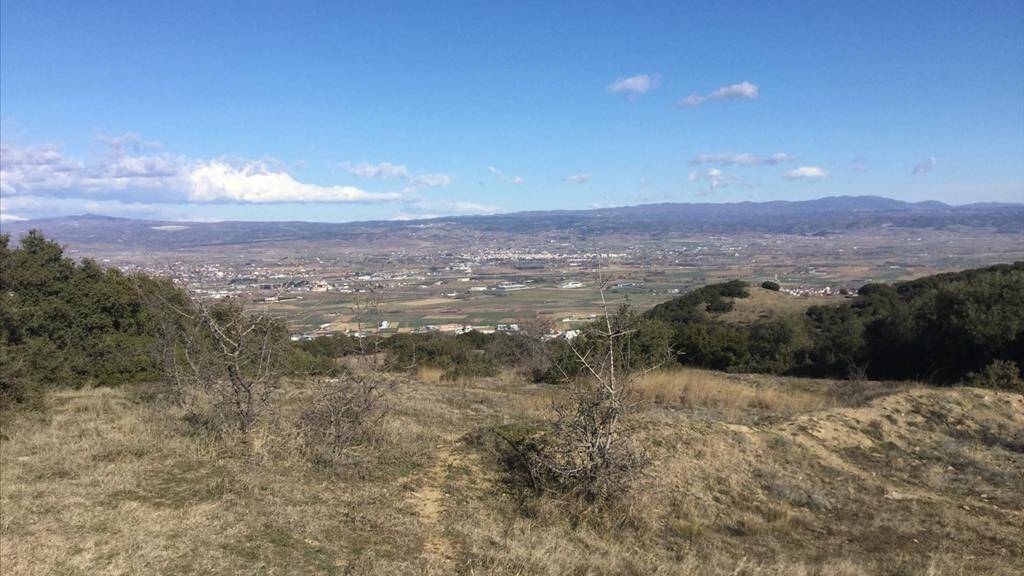 Land-/Forstwirtschaft zum Kauf 180.000 € 6.500 m² Grundstück Thessaloniki