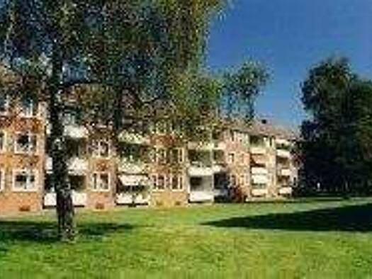 Wohnung zur Miete 785 € 4 Zimmer 79,5 m² 1. Geschoss Kieler Straße 541 b Stellingen Hamburg 22525