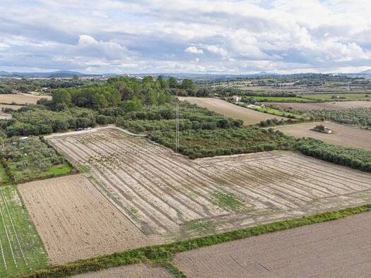 Grundstück zum Kauf 200.000 € 18.600 m² Grundstück Muro 07440