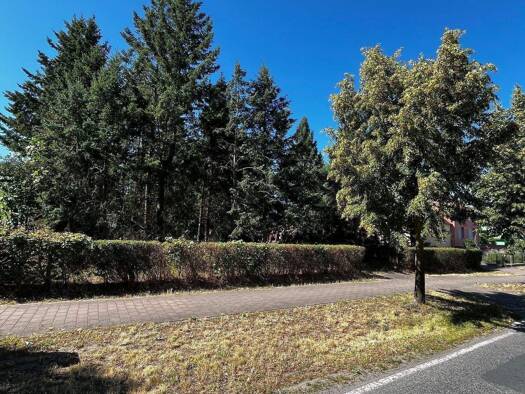 Grundstück zum Kauf 315.000 € 4.042 m² Grundstück Jeserig Groß Kreutz (Havel) 14550