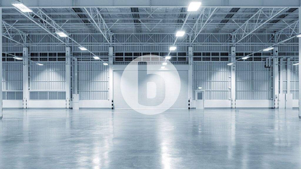 Lagerhalle zur Miete provisionsfrei 19.874 m² Lagerfläche teilbar ab 3.583 m² Billbrook Hamburg 22113