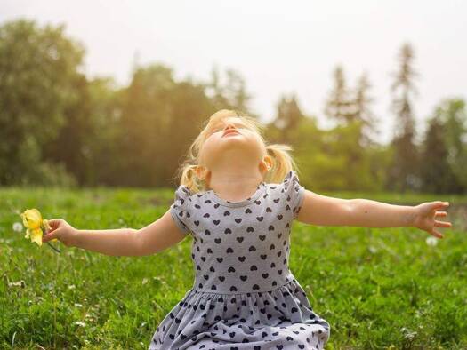 Grundstück zum Kauf 135.000 € 900 m² Grundstück Neudrossenfeld 95512