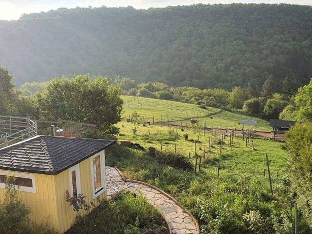 Bauernhaus zum Kauf provisionsfrei 987.000 € 7 Zimmer 250 m² 45.000 m² Grundstück Brauweiler 55606