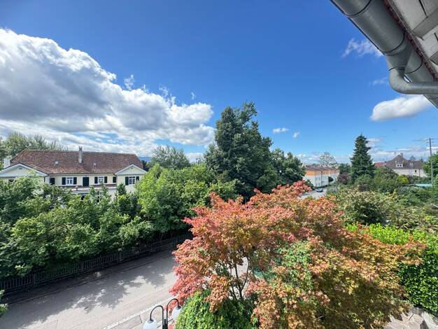 Mehrfamilienhaus zum Kauf 795.000 € 10 Zimmer 283,5 m² 573 m² Grundstück Grenzach Grenzach-Wyhlen 79639