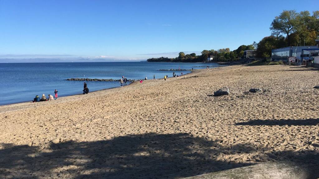 Studio zur Miete 980 € 1 Zimmer 54 m² Geschoss 1/2 frei ab sofort Niendorf/Ostsee Timmendorfer Strand 23669