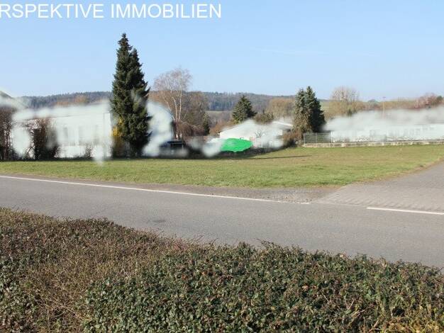 Gewerbegrundstück zum Kauf 350.000 € 2.019 m² Grundstück Bad König Bad König 64732