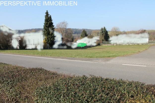 Gewerbegrundstück zum Kauf 350.000 € 2.019 m² Grundstück Bad König Bad König 64732
