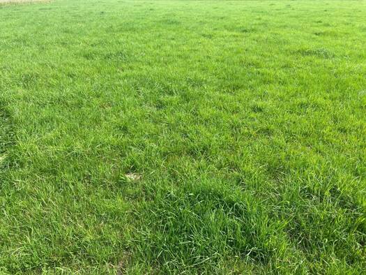 Grundstück zum Kauf Landsberg Landsberg am Lech 86899