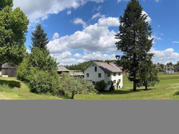 Bauernhaus zum Kauf 370.000 € 12 Zimmer 291,4 m² 12.400 m² Grundstück frei ab sofort Höchstädt 95186