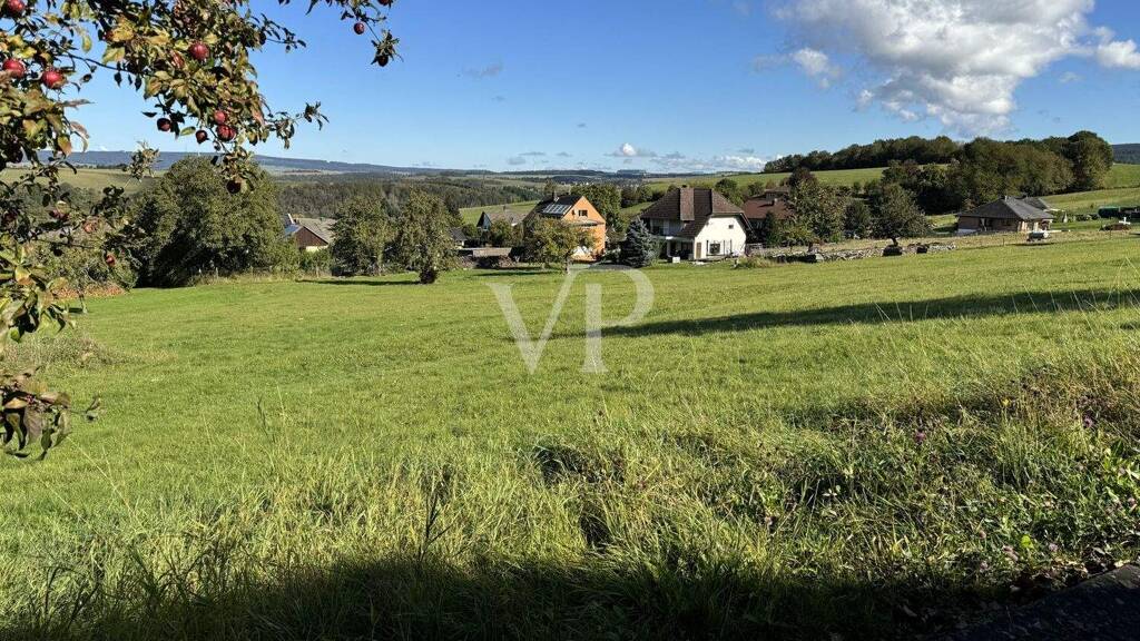 Grundstück zum Kauf 85.000 € 2.639 m² Grundstück Deuselbach 54411