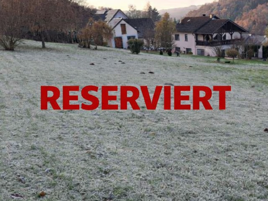 Einfamilienhaus zum Kauf 349.000 € 4 Zimmer 173 m² 3.239 m² Grundstück Biersdorf am See 54636