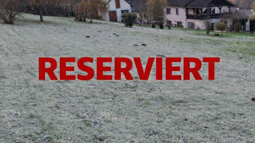 Einfamilienhaus zum Kauf 349.000 € 4 Zimmer 173 m² 3.239 m² Grundstück Biersdorf am See 54636