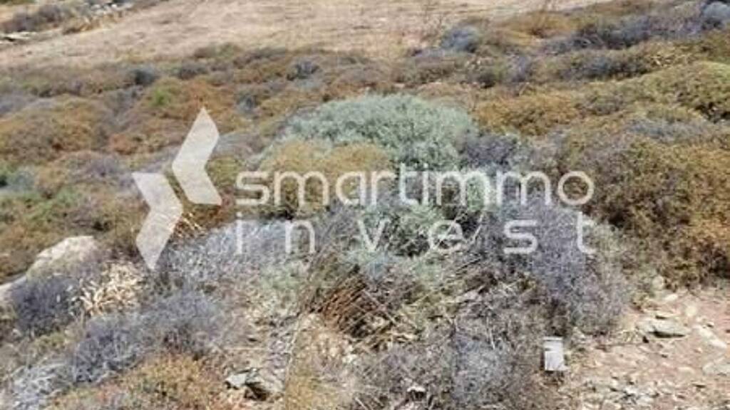 Land-/Forstwirtschaft zum Kauf 135.000 € Manna, Syros 841 00