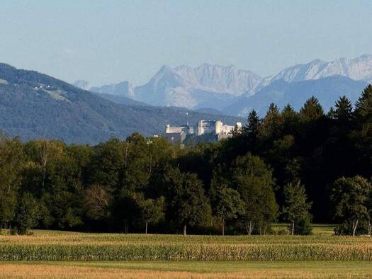 Maisonette zum Kauf 780.000 € 3 Zimmer 120 m² Freilassing Freilassing 83395