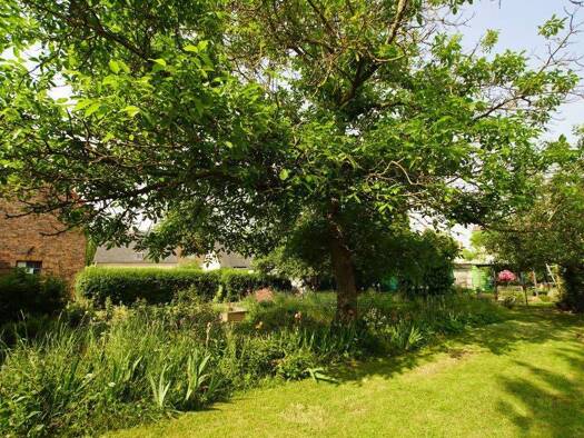 Grundstück zum Kauf 99.000 € 775 m² Grundstück Straße des Friedens 15 Hohenweiden Schkopau-Hohenweiden 06258