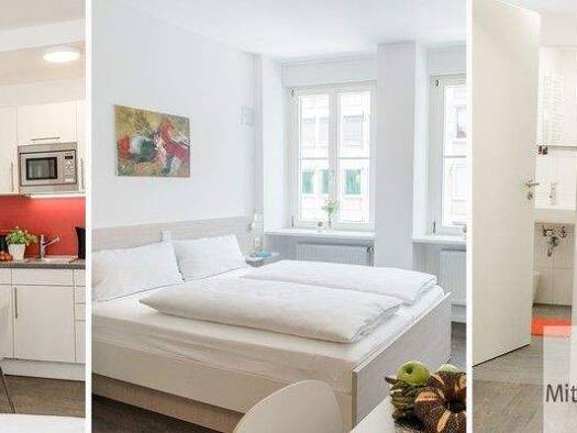Studio zur Miete 990 € 1 Zimmer 30 m² 2. Geschoss frei ab sofort Lorenz Nürnberg 90402