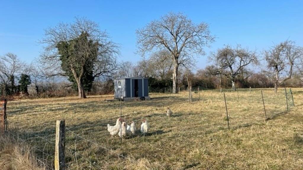 Freizeitgrundstück zur Miete 300 € 426 m² Grundstück Radolfzell Radolfzell am Bodensee / Markelfingen 78315