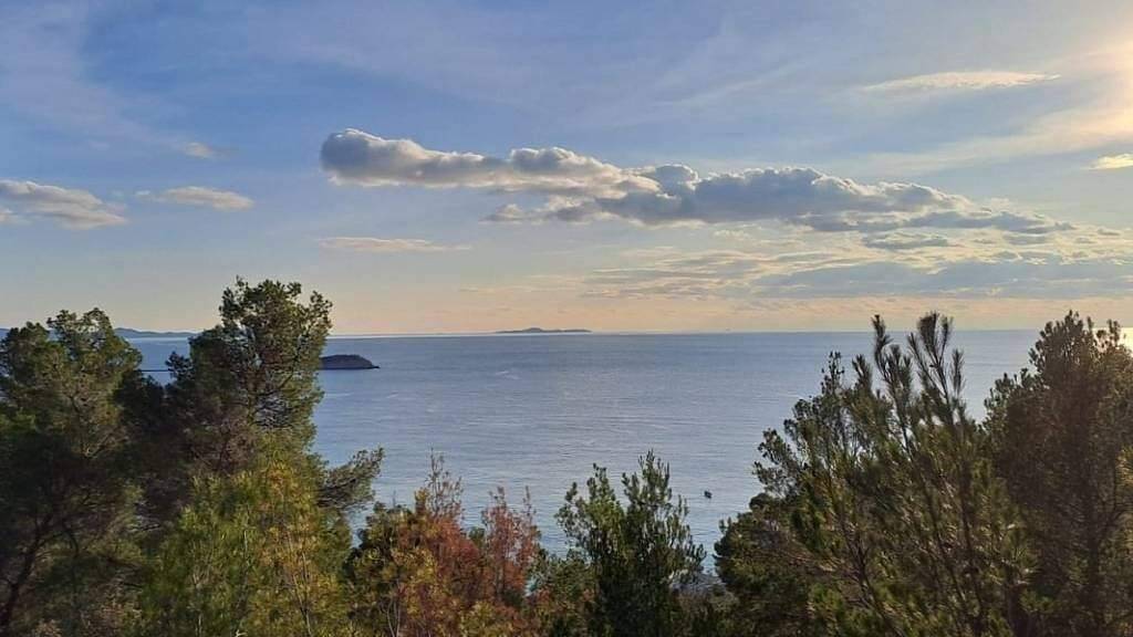 Land-/Forstwirtschaft zum Kauf 950.000 € Korcula