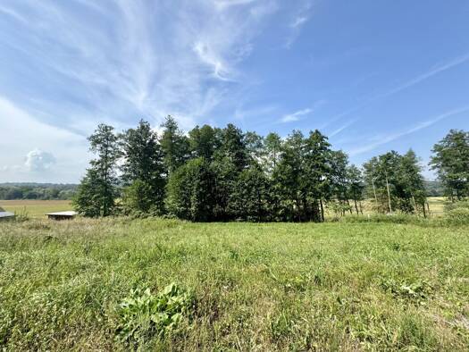 Grundstück zum Kauf 55.000 € 901 m² Grundstück Sankt Johann im Saggautal 8453