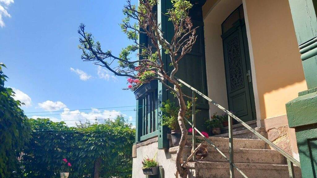 Wohnung zur Miete 270 € 2 Zimmer 51 m² EG frei ab 01.05.2026 Crimmitschau 08451