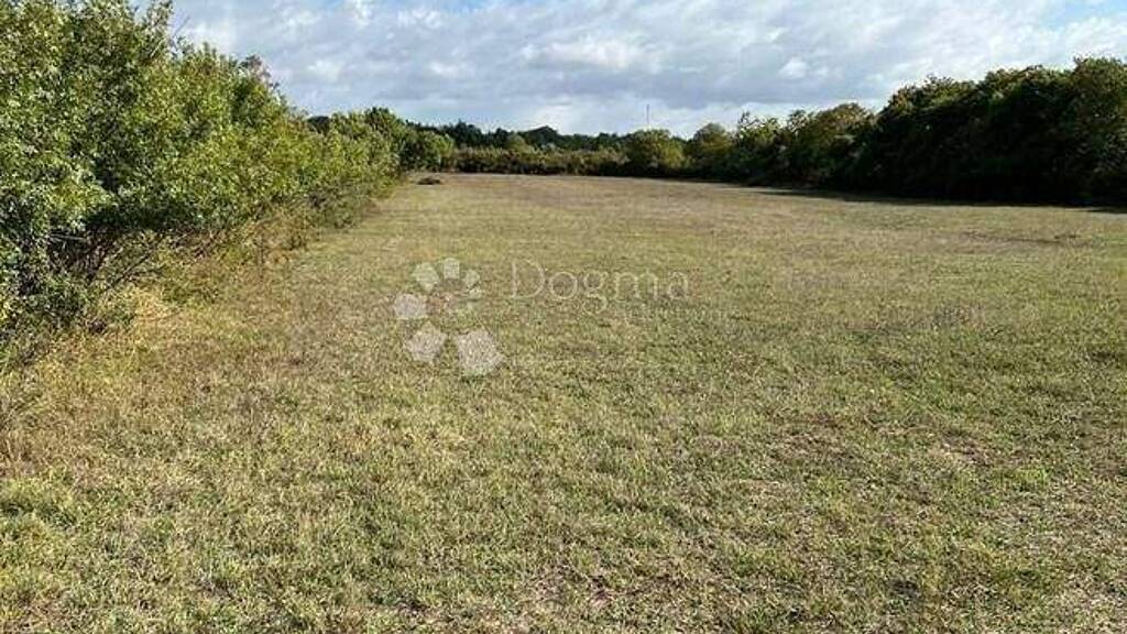 Land-/Forstwirtschaft zum Kauf 30.000 € Policnik