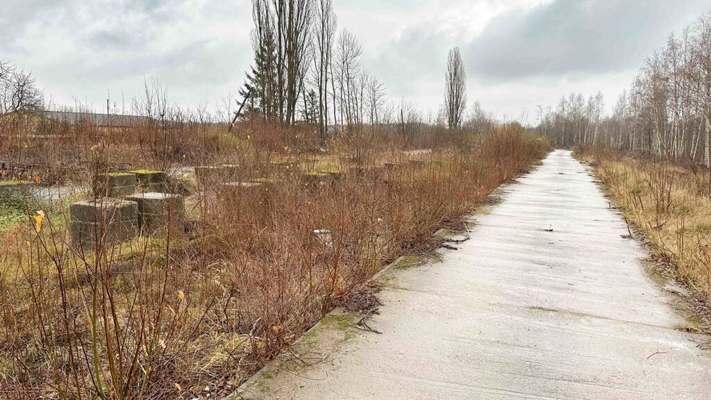 Gewerbegrundstück zur Miete 10.154 € 12.692 m² Grundstück Limbach-Oberfrohna 09212