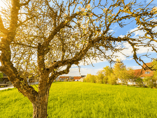 Grundstück zum Kauf 690.000 € 4.000 m² Grundstück Großweingarten Spalt 91174