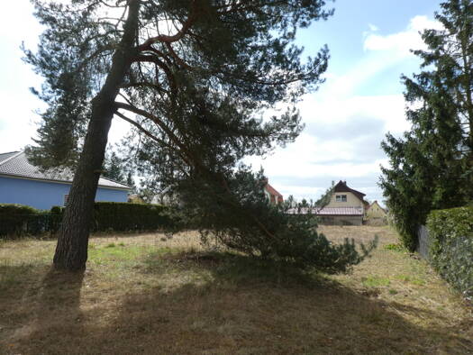 Grundstück zum Kauf 390.000 € 1.009 m² Grundstück Borgsdorf Hohen Neuendorf 16556