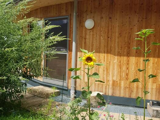 Immobilie zum Kauf 885.000 € 5,5 Zimmer 173 m² 1.170 m² Grundstück Elmen 6644