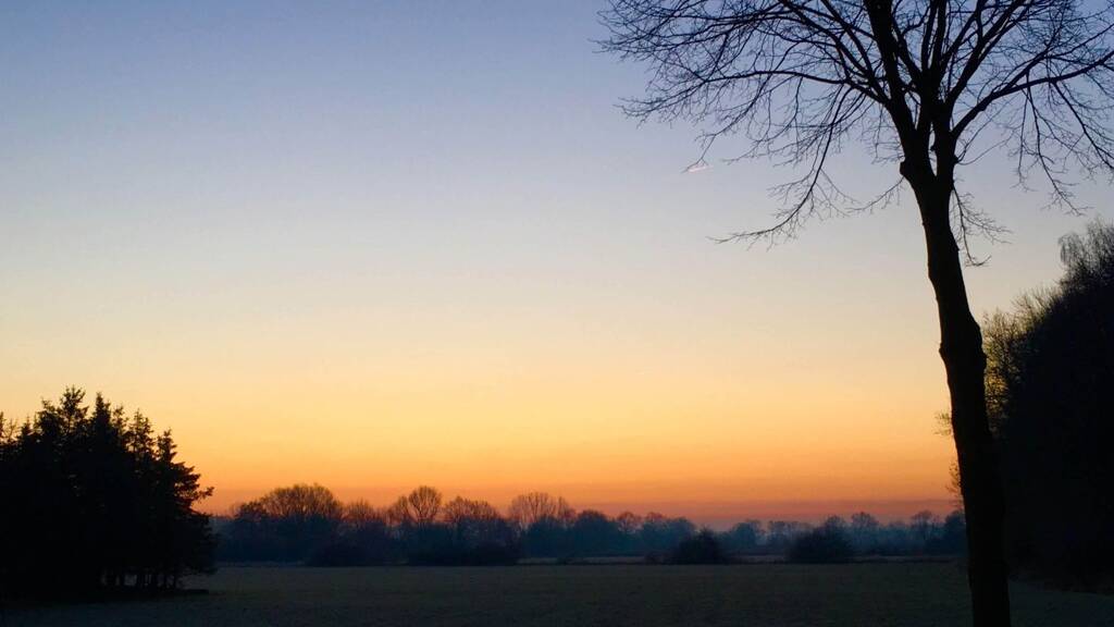 Grundstück zum Kauf 114.000 € 447 m² Grundstück Westerkappeln 49492