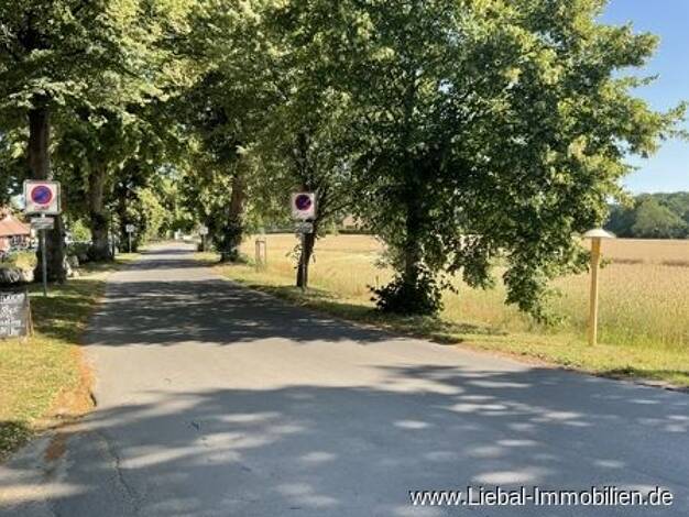 Grundstück zum Kauf 102.590 € 450 m² Grundstück Mellenthin Mellenthin 17429