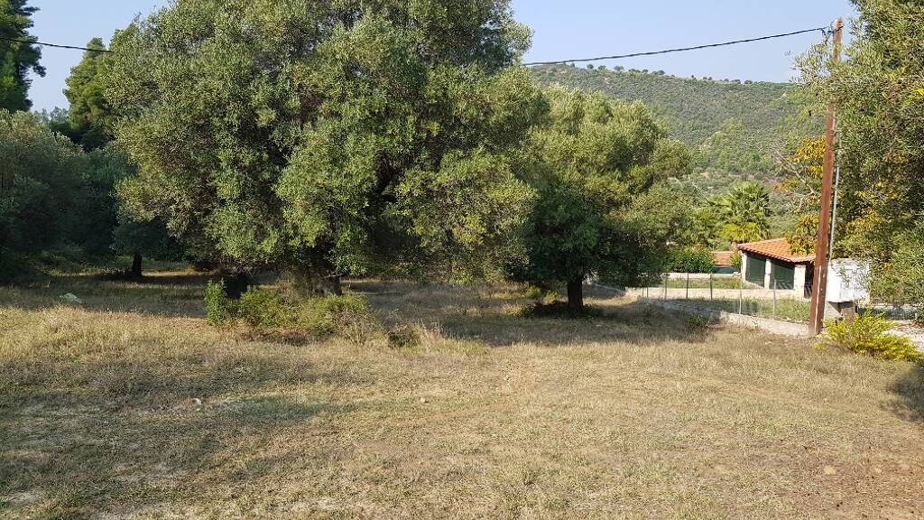 Land-/Forstwirtschaft zum Kauf 100.000 € 8.000 m² Grundstück Chalkidiki