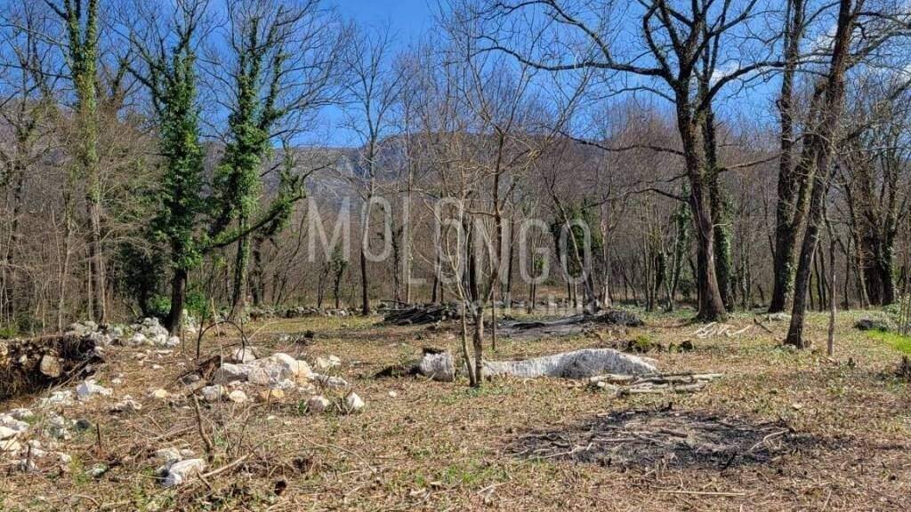 Land-/Forstwirtschaft zum Kauf 125.000 € Tribalj, Vinodolska Opcina Vinodolska opcina