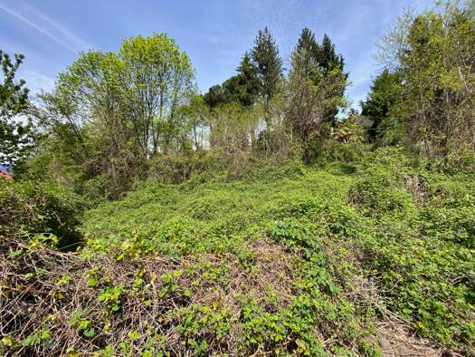Grundstück zum Kauf 125.000 € 2.570 m² Grundstück Luino