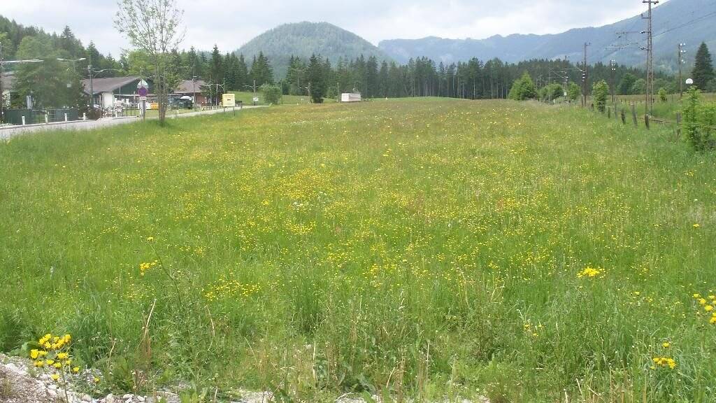 Gewerbegrundstück zur Miete 8.516 m² Grundstück Mariazell 8630