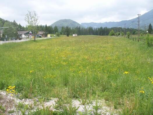 Gewerbegrundstück zur Miete 8.516 m² Grundstück Mariazell 8630