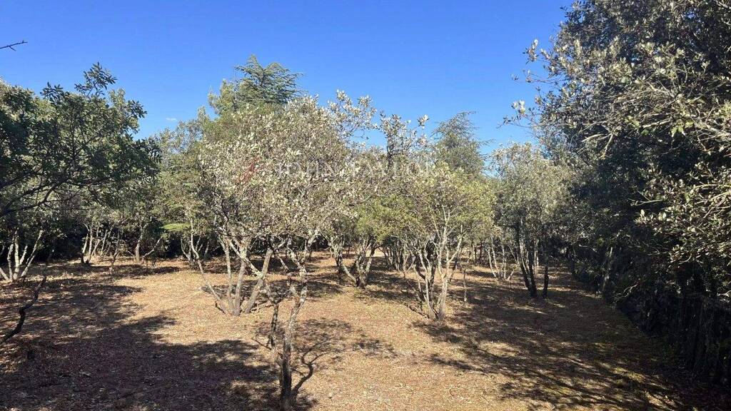 Grundstück zum Kauf provisionsfrei 320.000 € 1.072 m² Grundstück Cabrières-d'Avignon 84220