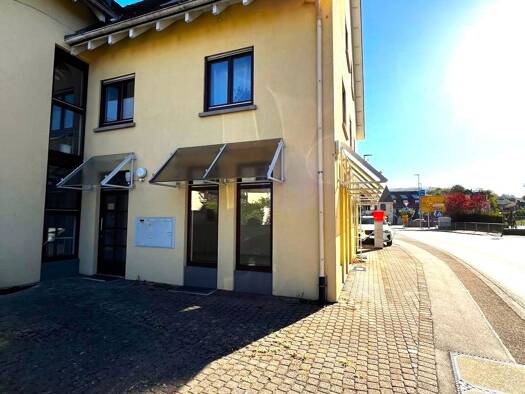 Bürofläche zum Kauf 230.000 € 1 Zimmer 43 m² Bürofläche Schliengen Schliengen 79418