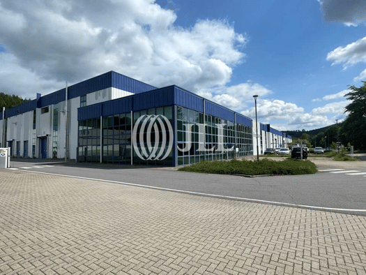 Lagerhalle zum Kauf provisionsfrei 24.475 m² Lagerfläche teilbar ab 675 m² Meinersdorf Burkhardtsdorf 09235