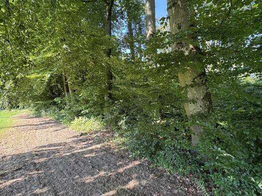 Forstwirtschaft zum Kauf 22.500 € 8.744 m² Grundstück Grenzach Grenzach-Wyhlen 79639