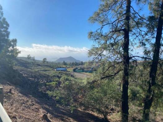 Acker-/Waldstück zum Kauf 45.000 € Granadilla de Abona 38616