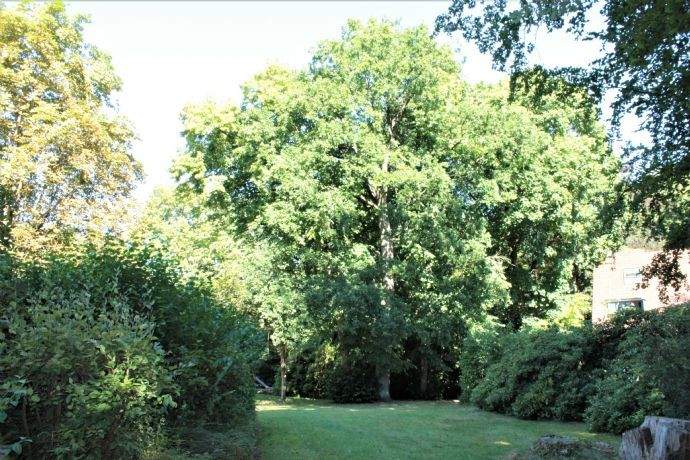 Property thumbnail 18