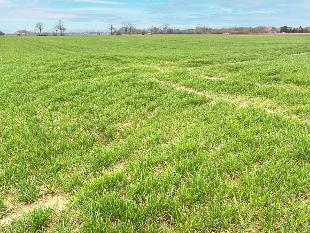 Landwirtschaftliche Fläche zum Kauf - Ansicht 2