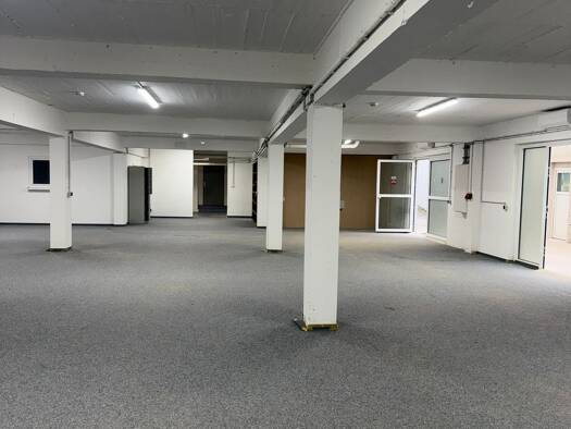 Büro zur Miete provisionsfrei 1.800 € 3 Zimmer 320 m² Bürofläche Klein-Winternheim 55270