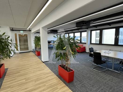 Büro zur Miete provisionsfrei 15 € 297 m² Bürofläche teilbar ab 297 m² Braunsfeld Köln 50933